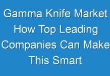 Gamma Knife Market How Top Leading Companies Can Make This Smart Strategy Work 2024