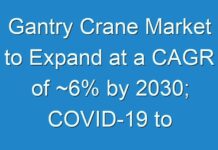Gantry Crane Market to Expand at a CAGR of ~6% by 2030; COVID-19 to Affect Future Growth Trajectory