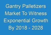 Gantry Palletizers Market To Witness Exponential Growth By 2018 – 2028