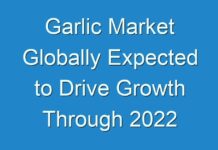 Garlic Market Globally Expected to Drive Growth Through 2024