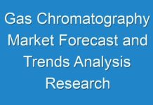 Gas Chromatography Market Forecast and Trends Analysis Research Report 2017 to 2024