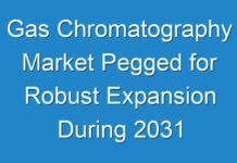 Gas Chromatography Market Pegged for Robust Expansion During 2031