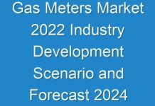 Gas Meters Market 2024 Industry Development Scenario and Forecast 2024