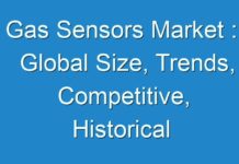 Gas Sensors Market : Global Size, Trends, Competitive, Historical & Forecast Analysis, 2024-2027