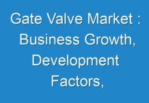 Gate Valve Market : Business Growth, Development Factors, Applications, and Future Prospects 2027