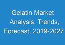 Gelatin Market Analysis, Trends, Forecast, 2019-2027