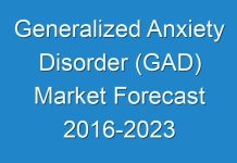 Generalized Anxiety Disorder (GAD) Market Forecast 2016-2024 Discussed in a New Market Research Report