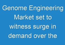 Genome Engineering Market set to witness surge in demand over the forecast period of 2019-2027