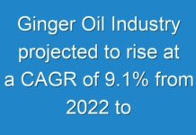 Ginger Oil Industry projected to rise at a CAGR of 9.1% from 2024 to 2030