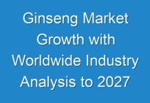 Ginseng Market Growth with Worldwide Industry Analysis to 2027