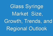 Glass Syringe Market Size, Growth, Trends, and Regional Outlook by 2028