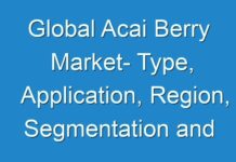 Global Acai Berry Market- Type, Application, Region, Segmentation and Forecast to 2026