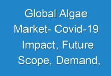 Global Algae Market- Covid-19 Impact, Future Scope, Demand, Segmentation and Key Players 2027