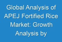 Global Analysis of APEJ Fortified Rice Market: Growth Analysis by Manufacturers, Regions, Types and Applications by 2026