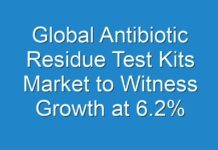 Global Antibiotic Residue Test Kits Market to Witness Growth at 6.2% CAGR Through 2026