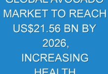 GLOBAL AVOCADO MARKET TO REACH US$21.56 BN BY 2026, INCREASING HEALTH CONSCIOUSNESS AMONG PEOPLE TO PROMOTE GROWTH
