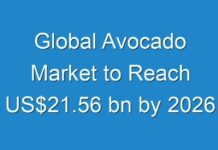 Global Avocado Market to Reach US$21.56 bn by 2026