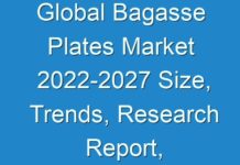 Global Bagasse Plates Market 2024-2027 Size, Trends, Research Report, Growth Trends, Opportunities, Forecast to 2027