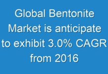 Global Bentonite Market is anticipate to exhibit 3.0% CAGR from 2016 to 2024