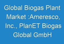 Global Biogas Plant Market :Ameresco, Inc., PlanET Biogas Global GmbH