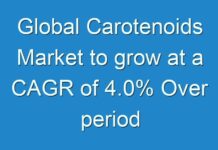 Global Carotenoids Market to grow at a CAGR of 4.0% Over period 2018-2027