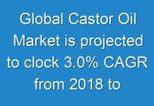 Global Castor Oil Market is projected to clock 3.0% CAGR from 2018 to 2027