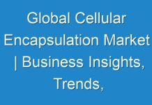 Global Cellular Encapsulation Market | Business Insights, Trends, Outlook and Key Players 2024-2031