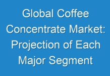 Global Coffee Concentrate Market: Projection of Each Major Segment over the Forecast Period 2028