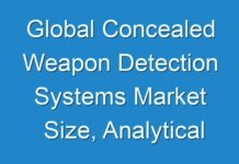 Global Concealed Weapon Detection Systems Market Size, Analytical Overview, Growth Factors, Demand, Trends And Forecast To 2025
