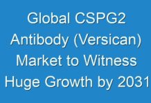 Global CSPG2 Antibody (Versican) Market to Witness Huge Growth by 2031