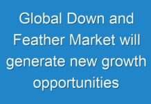 Global Down and Feather Market will generate new growth opportunities by 2027