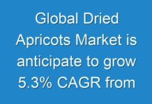 Global Dried Apricots Market is anticipate to grow 5.3% CAGR from 2018 to 2026