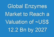 Global Enzymes Market to Reach a Valuation of ~US$ 12.2 Bn by 2027
