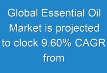 Global Essential Oil Market is projected to clock 9.60% CAGR from 2017 to 2024