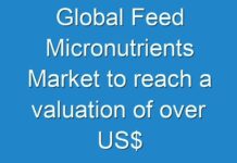 Global Feed Micronutrients Market to reach a valuation of over US$ 2.5 Bn Through 2027
