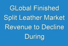 GLobal Finished Split Leather Market Revenue to Decline During Coronavirus Disruption, Stakeholders to Realign Their Growth Strategies