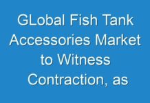 GLobal Fish Tank Accessories Market to Witness Contraction, as Uncertainty Looms Following Global Coronavirus Outbreak