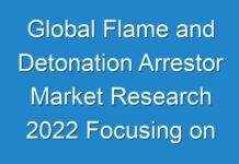 Global Flame and Detonation Arrestor Market Research 2024 Focusing on Key Companies, Development, Trends, Challenges, Growth, Countries, Revenue & Forecast to 2027