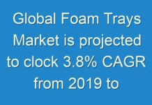 Global Foam Trays Market is projected to clock 3.8% CAGR from 2019 to 2027