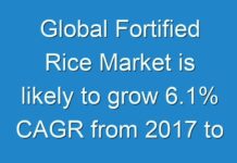 Global Fortified Rice Market is likely to grow 6.1% CAGR from 2017 to 2026