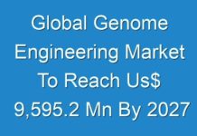 Global Genome Engineering Market To Reach Us$ 9,595.2 Mn By 2027