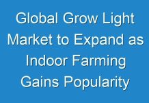 Global Grow Light Market to Expand as Indoor Farming Gains Popularity within Horticulture; Covid-19 Analysis
