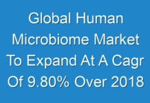 Global Human Microbiome Market To Expand At A Cagr Of 9.80% Over 2018 To 2026 As Medical Research Improves