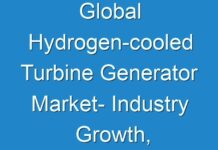 Global Hydrogen-cooled Turbine Generator Market- Industry Growth, Revenue, Demand and Driving Factors to 2028