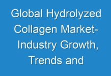 Global Hydrolyzed Collagen Market- Industry Growth, Trends and Applications to 2029