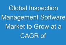 Global Inspection Management Software Market to Grow at a CAGR of over 13% Through 2028