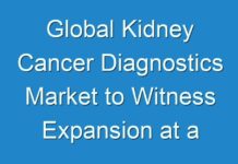 Global Kidney Cancer Diagnostics Market to Witness Expansion at a CAGR of 6.4% Through 2024