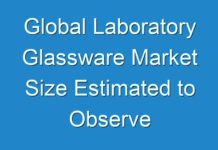 Global Laboratory Glassware Market Size Estimated to Observe Significant Growth by 2026