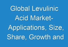 Global Levulinic Acid Market- Applications, Size, Share, Growth and Driving Factors to 2027