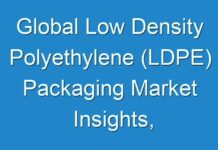 Global Low Density Polyethylene (LDPE) Packaging Market Insights, Potential Business Strategies, Mergers and Acquisitions, Revenue Analysis – 2024– 2027